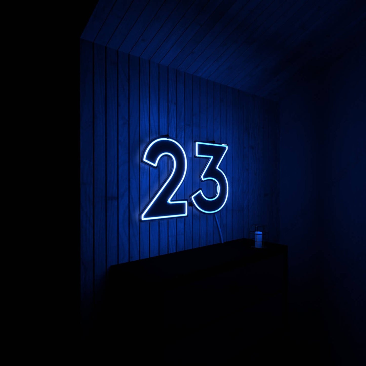 alealb-neonmul-12