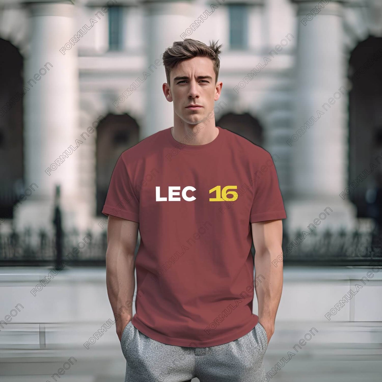 lec-tee-special-d5_||_Brick