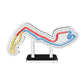 MONTE CARLO - MONACO | SECTOR MAP - SMALL