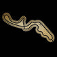 SUZUKA - JAPAN | GOLD - LARGE